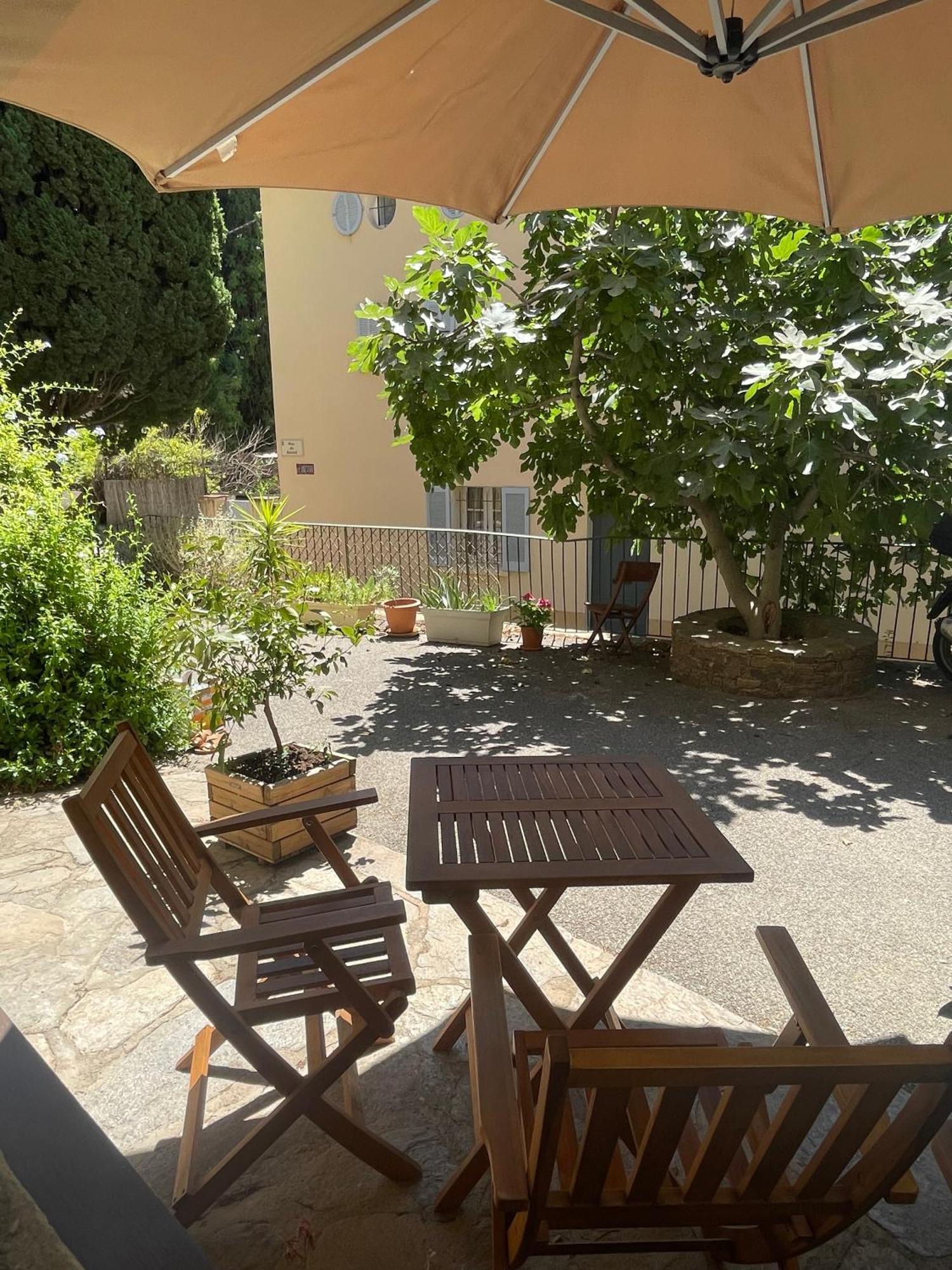 Cosy Studio - Place Du Figuier Bormes-les-Mimosas Extérieur photo